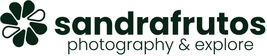 Logo sandrafrutos
